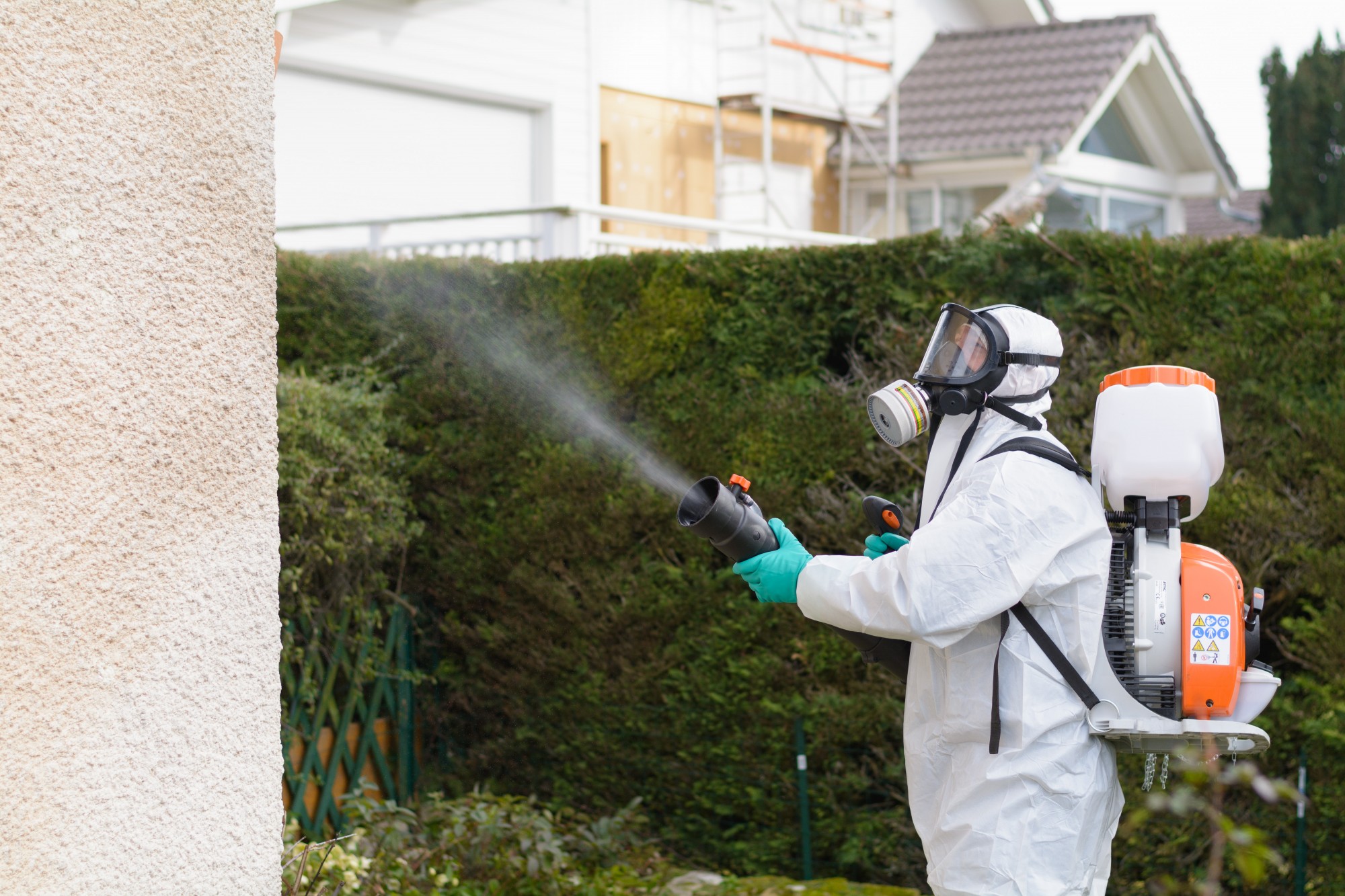 Traitement anti-fourmis volantes avec équipement de protection individuelle