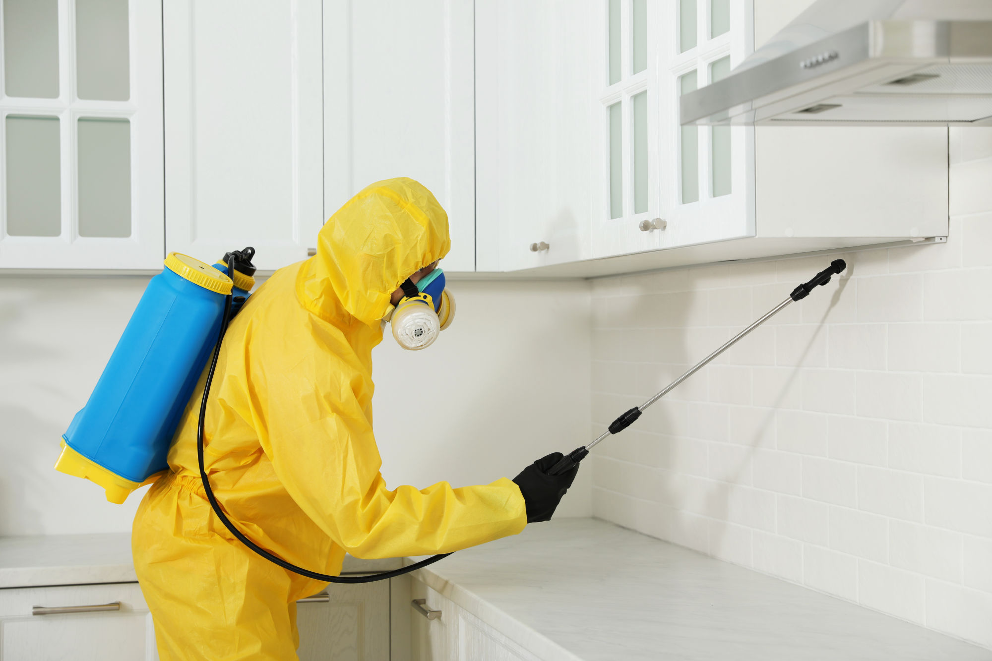 Traitement anti-fourmis dans une cuisine